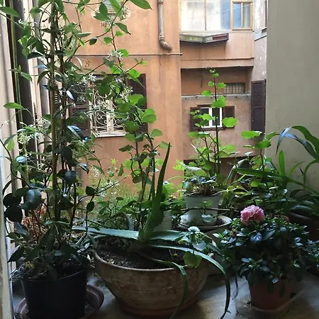 Apartment Casa Magiuli' Navona